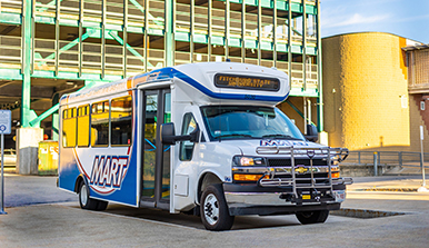 Monthly Ride Service