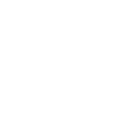 Council on Aging (COA) Services