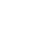 ADA Eligible Paratransit Service