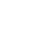 Monthly Ride Service